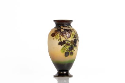 Établissement Émile GALLÉ (1904-1936)
Vase...