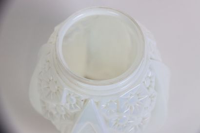 MULLERS FRERES à Lunéville. 
Paire de vase...