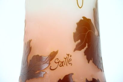 Établissement GALLE (1904-1936). 
Vase tube...