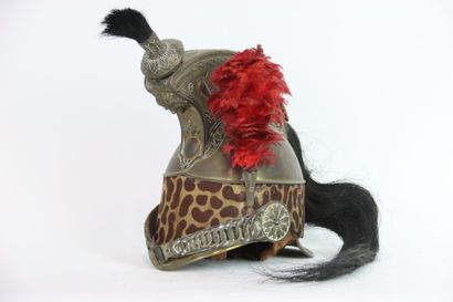 Casque d'officier de dragon modèle 1848....