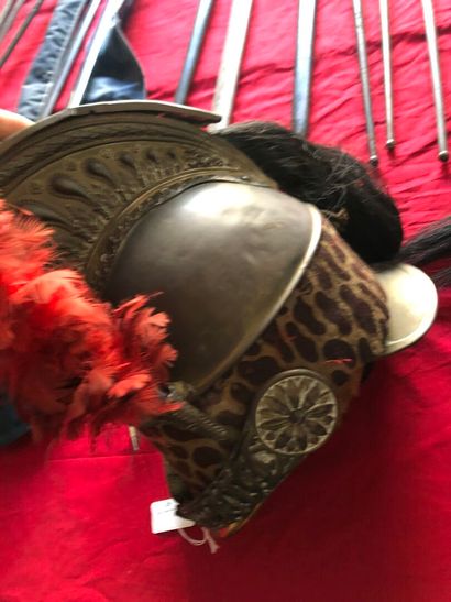 Casque d'officier de dragon modèle 1848....