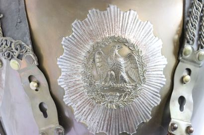 Cuirasse de troupe de carabinier.
Plastron...