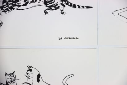 Mady de la GIRAUDIERE (1922-1918)
Quelle...