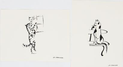 Mady de la GIRAUDIERE (1922-1918)
Quelle...