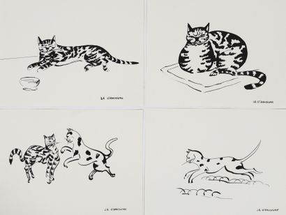 Mady de la GIRAUDIERE (1922-1918)
Quelle...