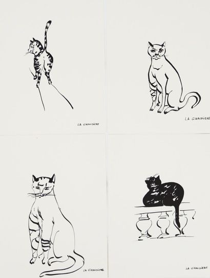Mady de la GIRAUDIERE (1922-1918)
Quelle...
