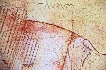 Yves CASS (né le 17 janvier 1947)
Taurus...