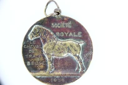 Réunion de 6 médailles :
- Médaille commémorative...