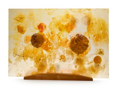 Frederik VÆRSLEV (Né en 1979)

Untitled,...