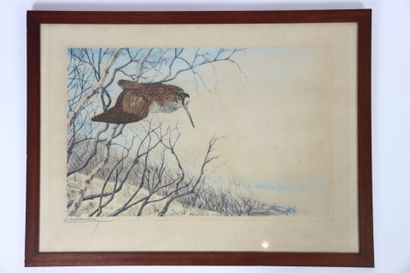 Léon DANCHIN (1887 - 1938),
Bécasses,
Paire...