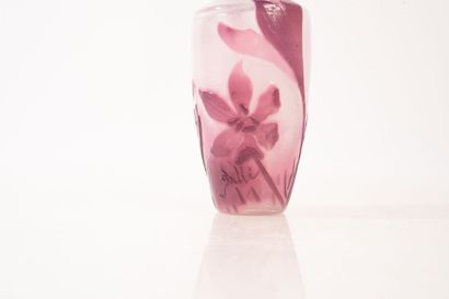 Émile GALLÉ (1846–1904)
Single-flower glass...