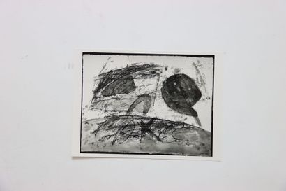 Article de l'association 