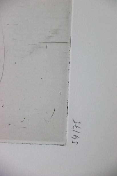 Axel CASSEL (1955-2015).
Serait Aile (plan).
Gravure...