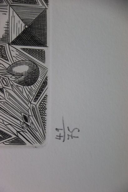 Joël ROCH (1939-2014).
Catocala nupta.
Gravure...