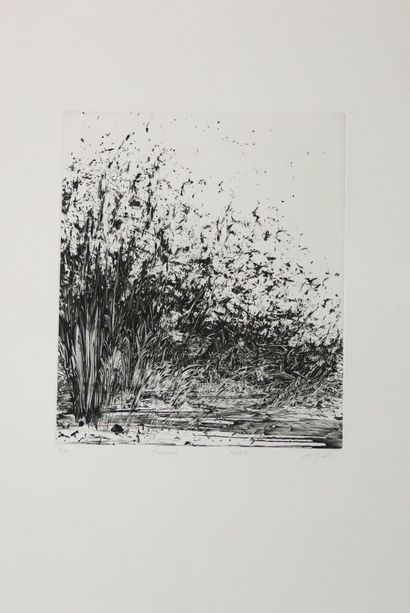 Nathalie GRALL (1961-).
Memento, 1991.
Gravure...