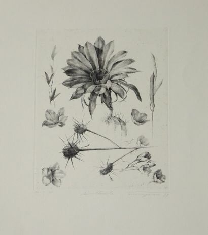 Tomohide KAMEYAMA (1962-).
Simultanéité.
Gravure...