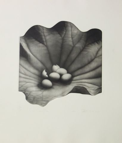 J-H PARK (XXè).
La conception, 1985.
Gravure...