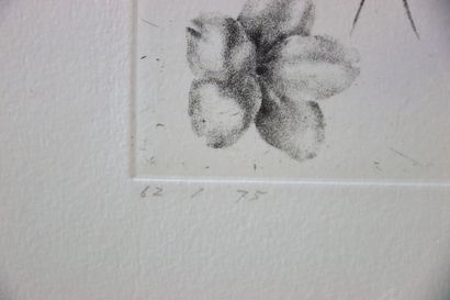 Tomohide KAMEYAMA (1962-).
Simultanéité.
Gravure...