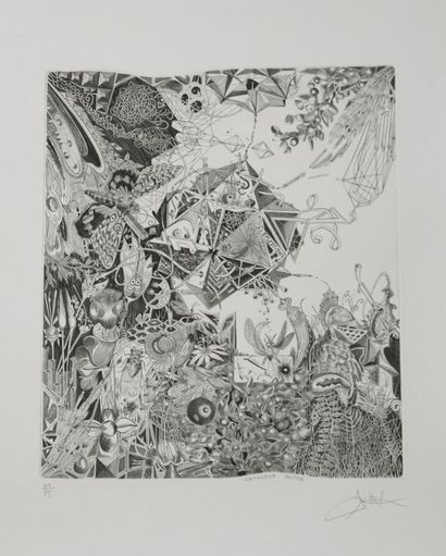 Joël ROCH (1939-2014).
Catocala nupta.
Gravure...