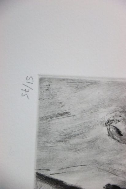 David MAES (1956-).
Nu.
Gravure à l'eau forte...