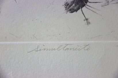 Tomohide KAMEYAMA (1962-).
Simultanéité.
Gravure...
