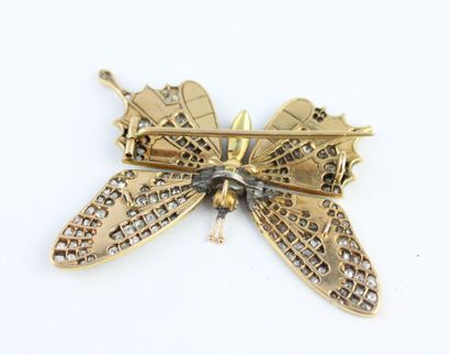 Broche papillon en or jaune 18K (750/1000)...
