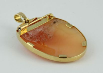 Broche / pendentif orné d'un camée coquille...
