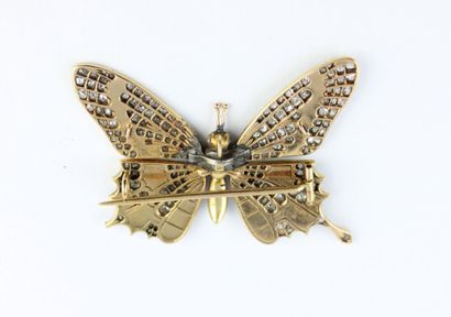Broche papillon en or jaune 18K (750/1000)...