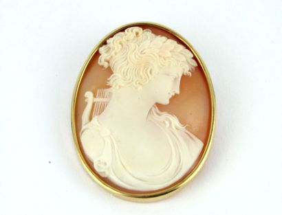 Broche / pendentif orné d'un camée coquille...