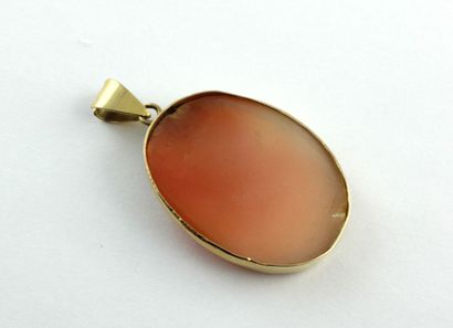 Pendentif camée coquille à décor de profil...