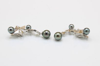 Pair of 18K (750/1000) white gold earrings...