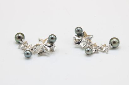 Pair of 18K (750/1000) white gold earrings...