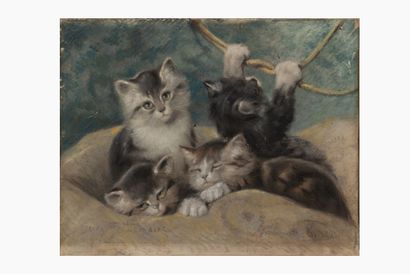 Quatre chatons sur fond bleu

Pastel sur...