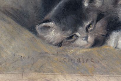 Quatre chatons sur fond bleu

Pastel sur...