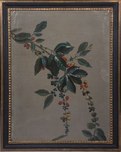Ecole française du XIXème siècle, 

Fruits...