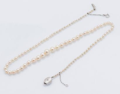 Collier de perles de culture en chute, la...
