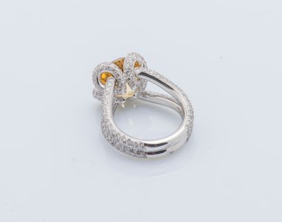 Bague en or gris 18 carats (750 ‰) ornée...