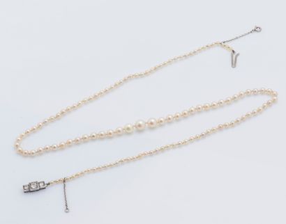 Collier de perles de culture en chute, la...