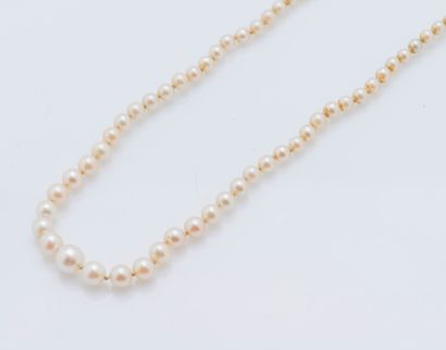 Collier de perles de culture en chute, la...