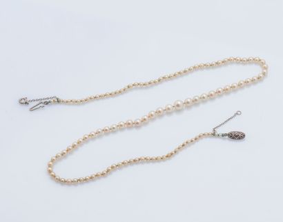 Collier de perles de culture en chute, la...