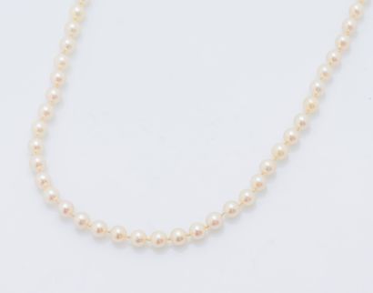 Collier d’un rang de perles de culture choker,...