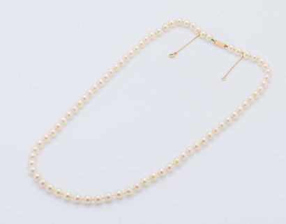 Collier d’un rang de perles de culture choker,...