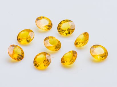Lot de 9 saphirs jaunes ronds d'environ 1,3...
