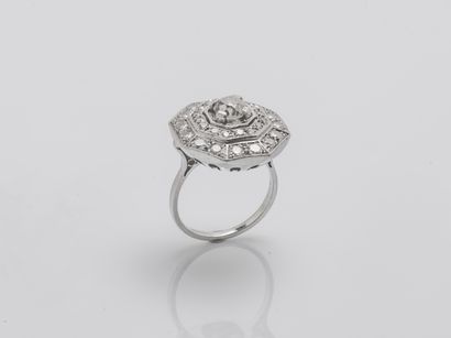 Bague en or gris 18 carats (750 millièmes)...
