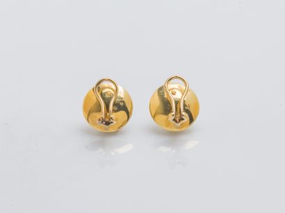Paire de boutons d'oreilles en or jaune 9...