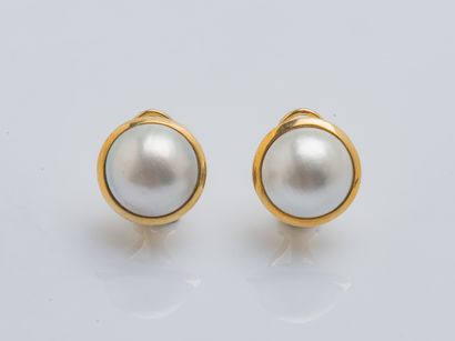 Paire de boutons d'oreilles en or jaune 9...