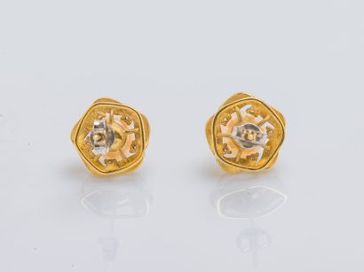 Paire de boutons d'oreilles en or jaune 18...