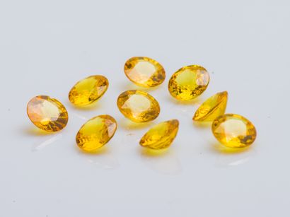 Lot de 9 saphirs jaunes ronds d'environ 1,3...