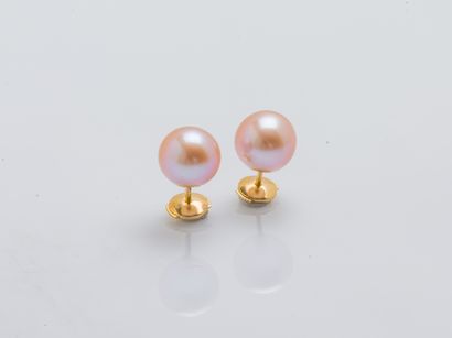 Paire de puces d'oreilles en or jaune 18...