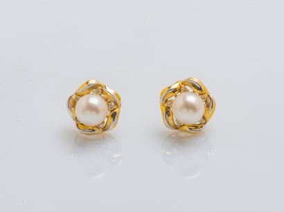 Paire de boutons d'oreilles en or jaune 18...